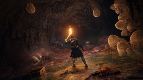 Elden Ring [PLAY STATION 4]