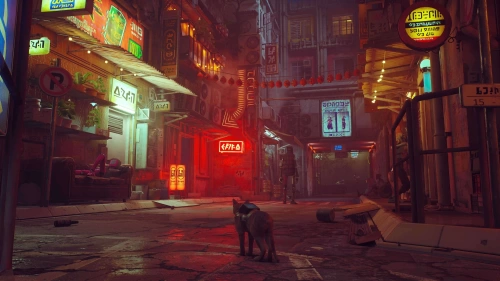 Stray[NINTENDO SWITCH]